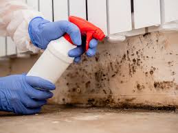 Best Mold Prevention Services in Jamestown, ND